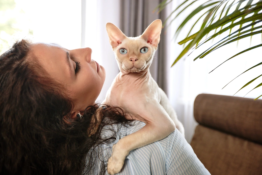 Sphynx kedi bakımı