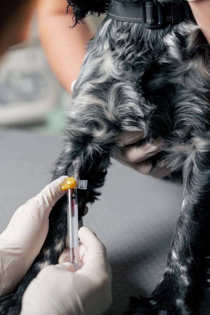Rabies Antibody Titer Test 1