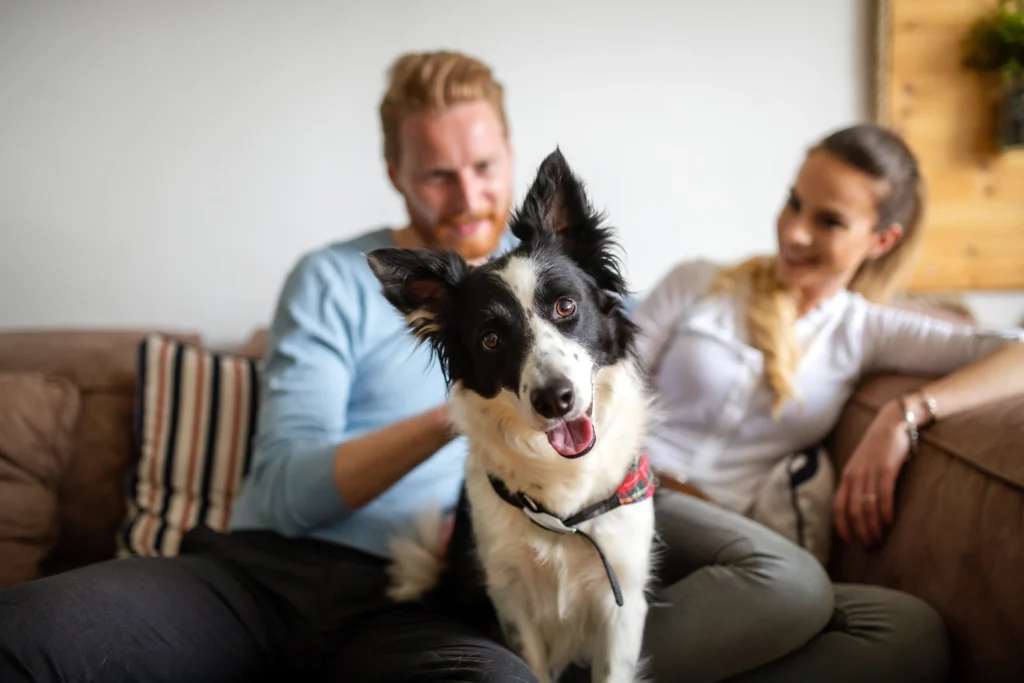 Home Veterinary Service