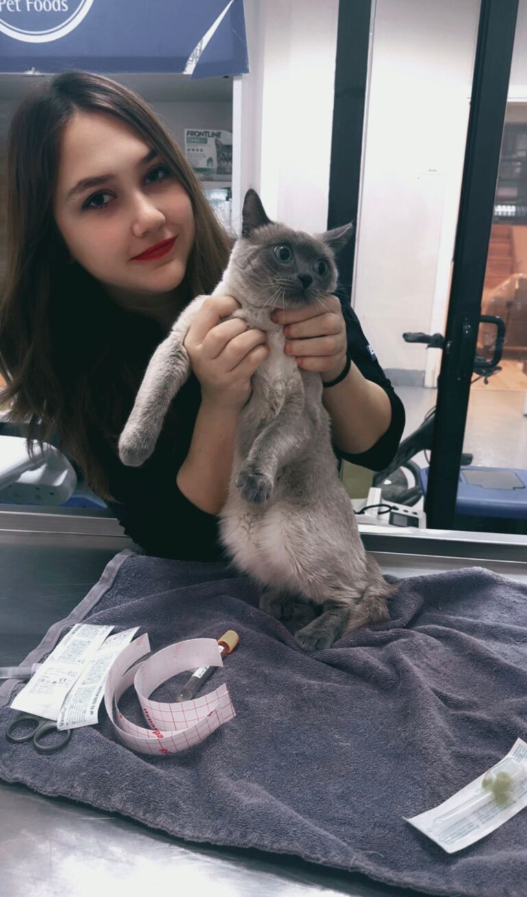 Zoom Veteriner Kliniği ekip fotoğrafı